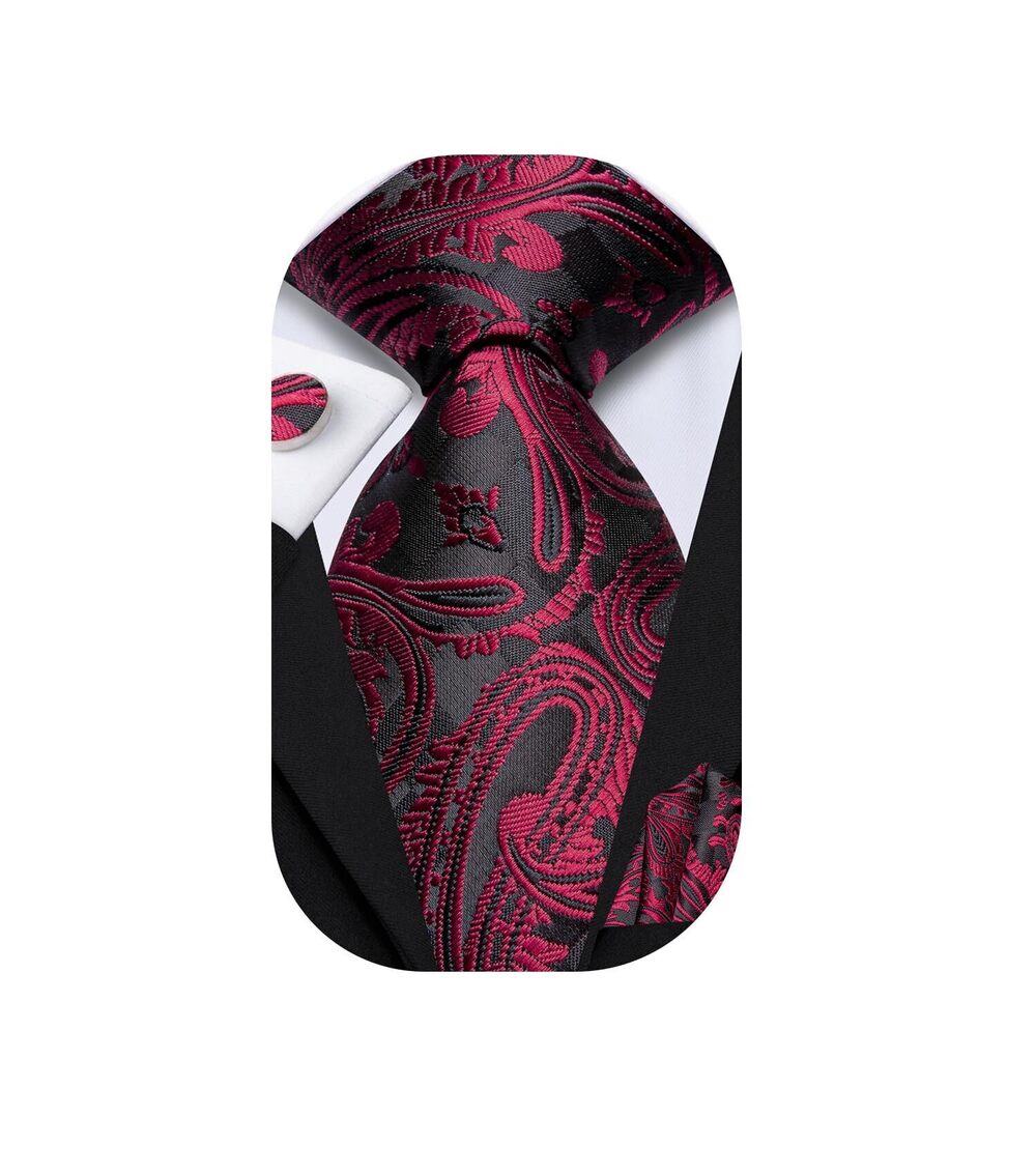 6655 Black Red Ties Suit Paisley Floral Striped Necktie and Handkerchief